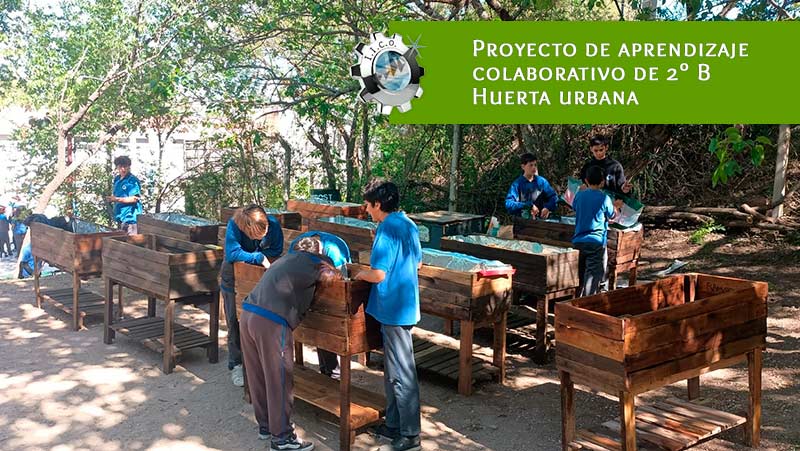 Aprendizaje colaborativo Huerta Urbana